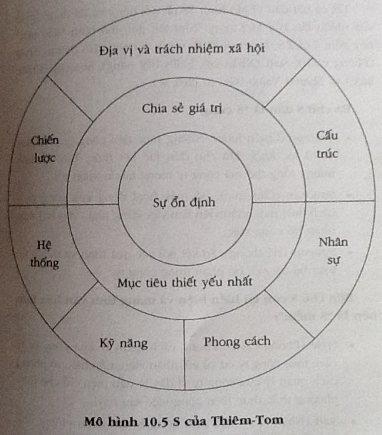 Thiết thiêm là gì? Gallery 2