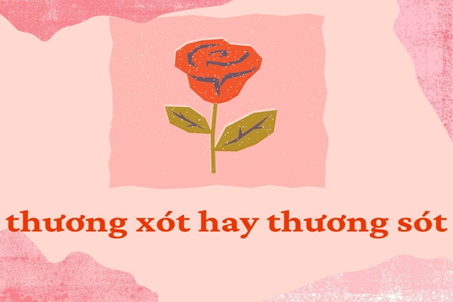 Thương Sót Hay Thương Xót? Gallery 2