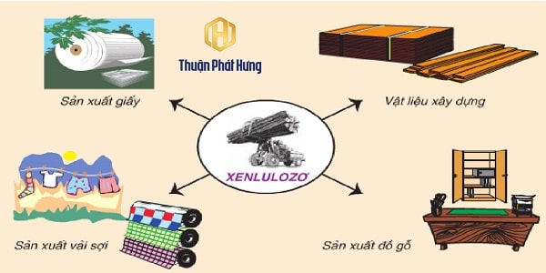 Ứng dụng đa dạng của tinh bột trong đời sống và công nghiệp Gallery 1