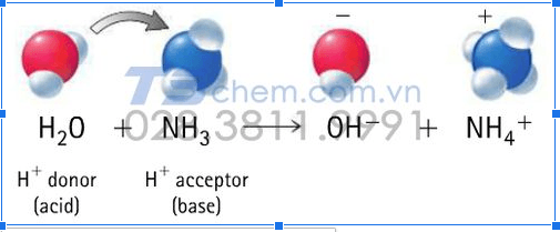 NH4 Basic or Acidic? Gallery 2