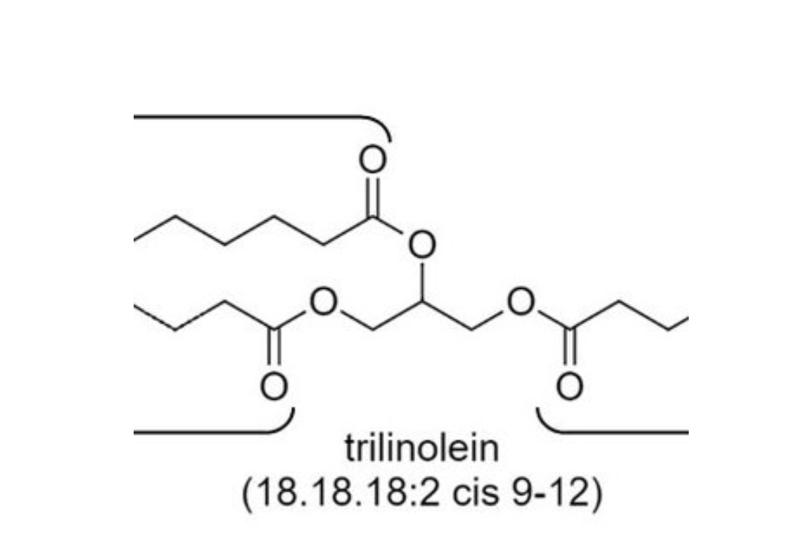 Công thức Trilinolein là gì? Gallery 2