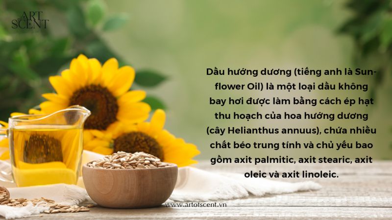 Hoa Hai Dương Tiếng Anh Là Gì Gallery 2