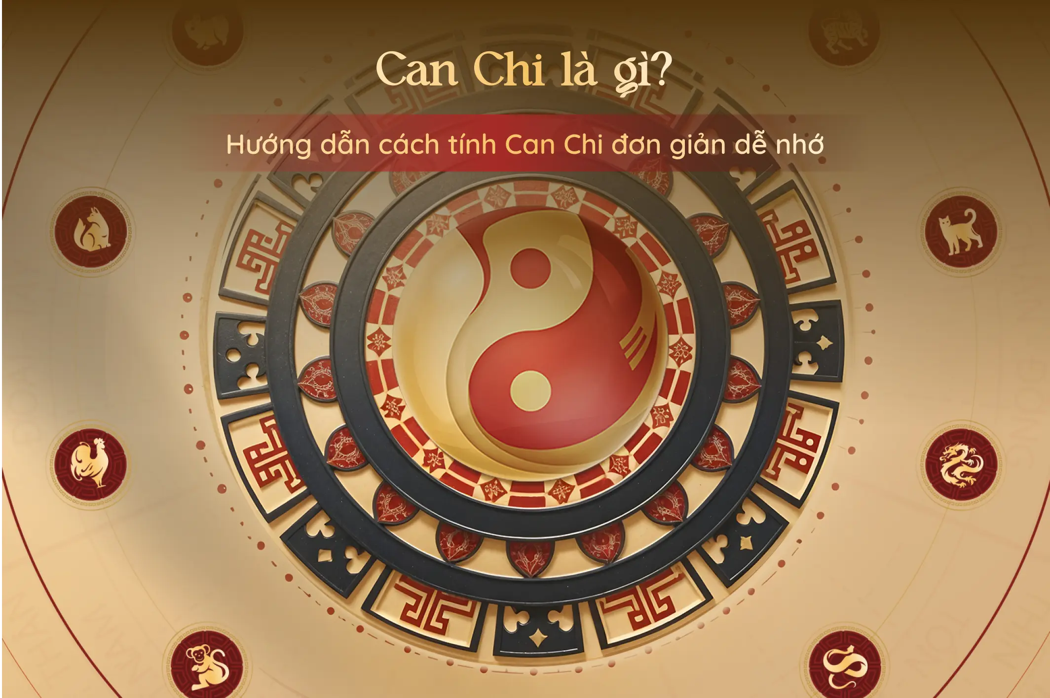 Cách Tính Cân Chi Gallery 2