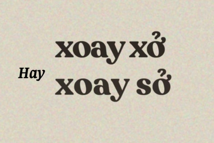 Xoay Sở Là Gì? Hướng Dẫn Chi Tiết Gallery 2