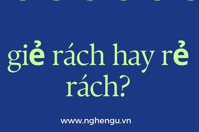 Giẻ Rách: Ứng Dụng, Loại Và Cách Tiện Lợi Nhất Để Sử Dụng Gallery 2