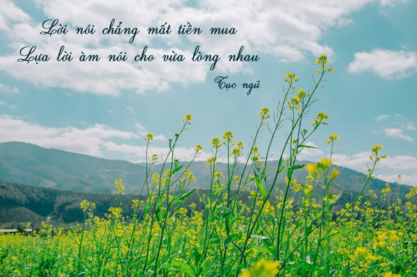 Lời nói không mất tiền mua lựa lời mà nói cho vừa lòng nhau Gallery 2