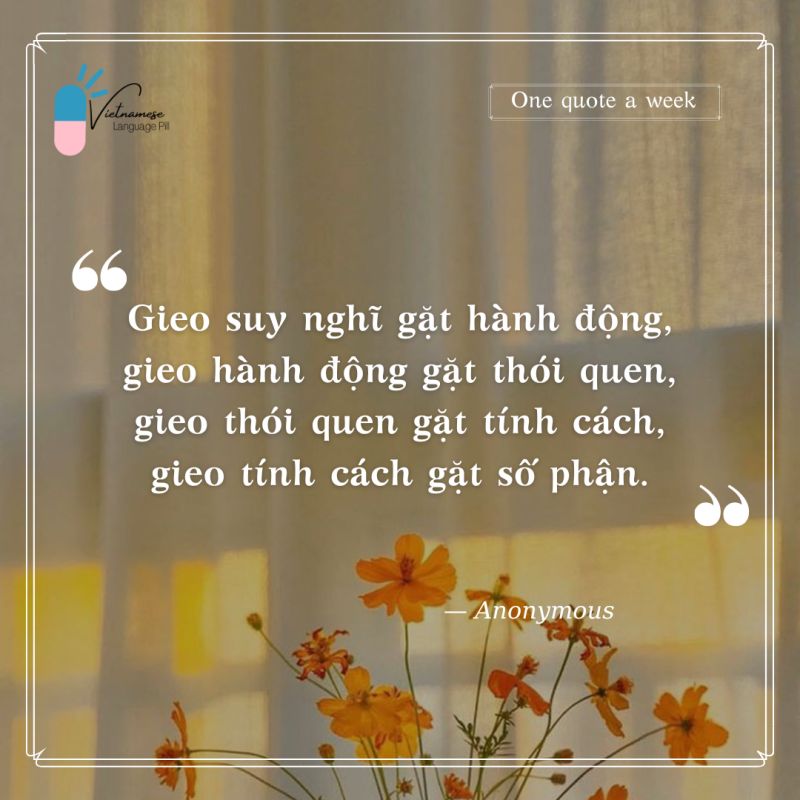 Gieo Suy Nghĩ, Gặt Hành Động: Bí Quyết Thành Công Gallery 2