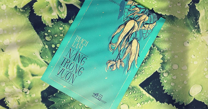 Phân tích nắng trong vườn để thiết kế khu vườn lý tưởng Gallery 2