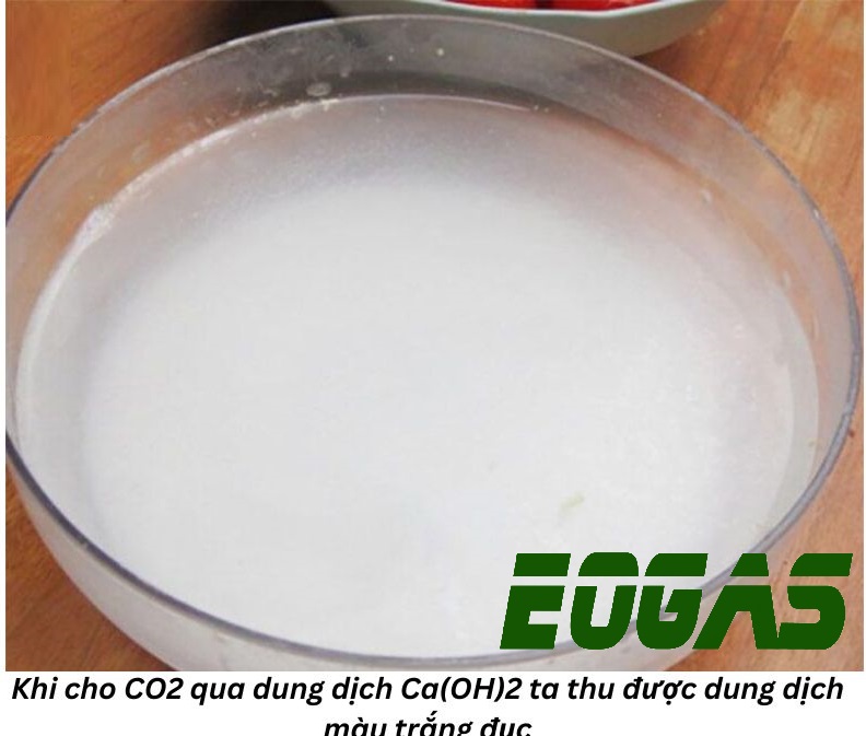 Ca(OH)2 tác dụng với CO2 Gallery 2