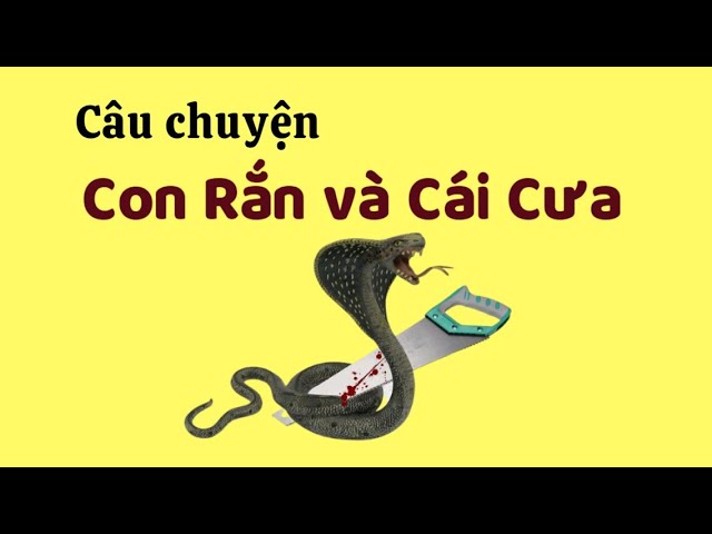 Con Rắn và Cái Cưa: Sự Kết Hợp Bất Ngờ Gallery 2