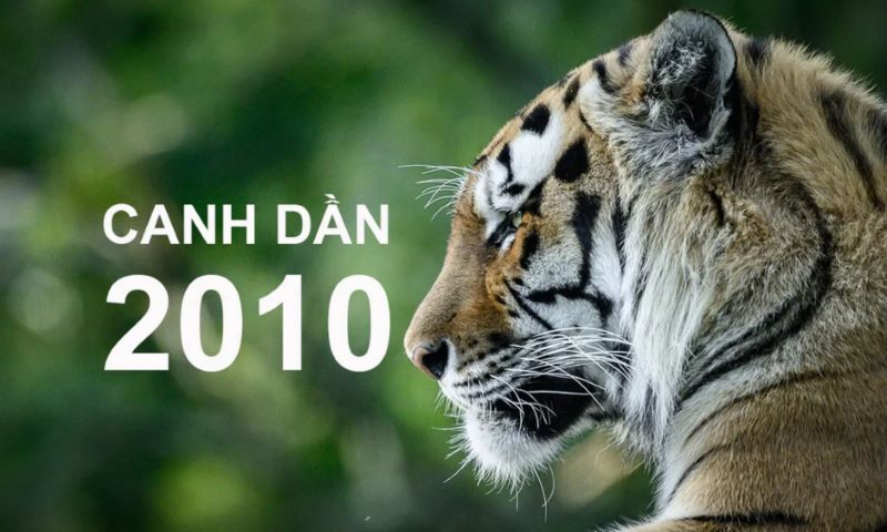 2010 là mấy tuổi? Gallery 2