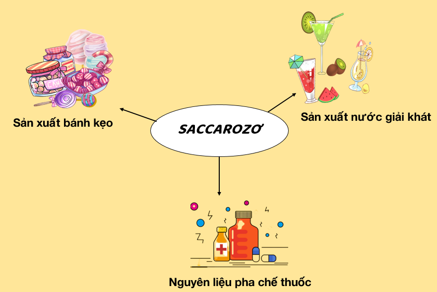 Ứng dụng của Saccarozơ trong cuộc sống và công nghiệp Gallery 2