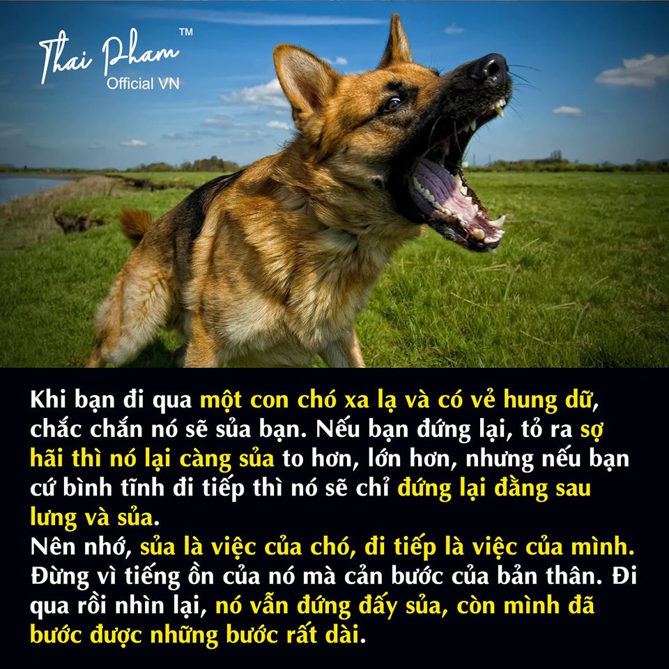 Chó Vẫn Sủa Và Đoàn Người Vẫn Đi Gallery 2