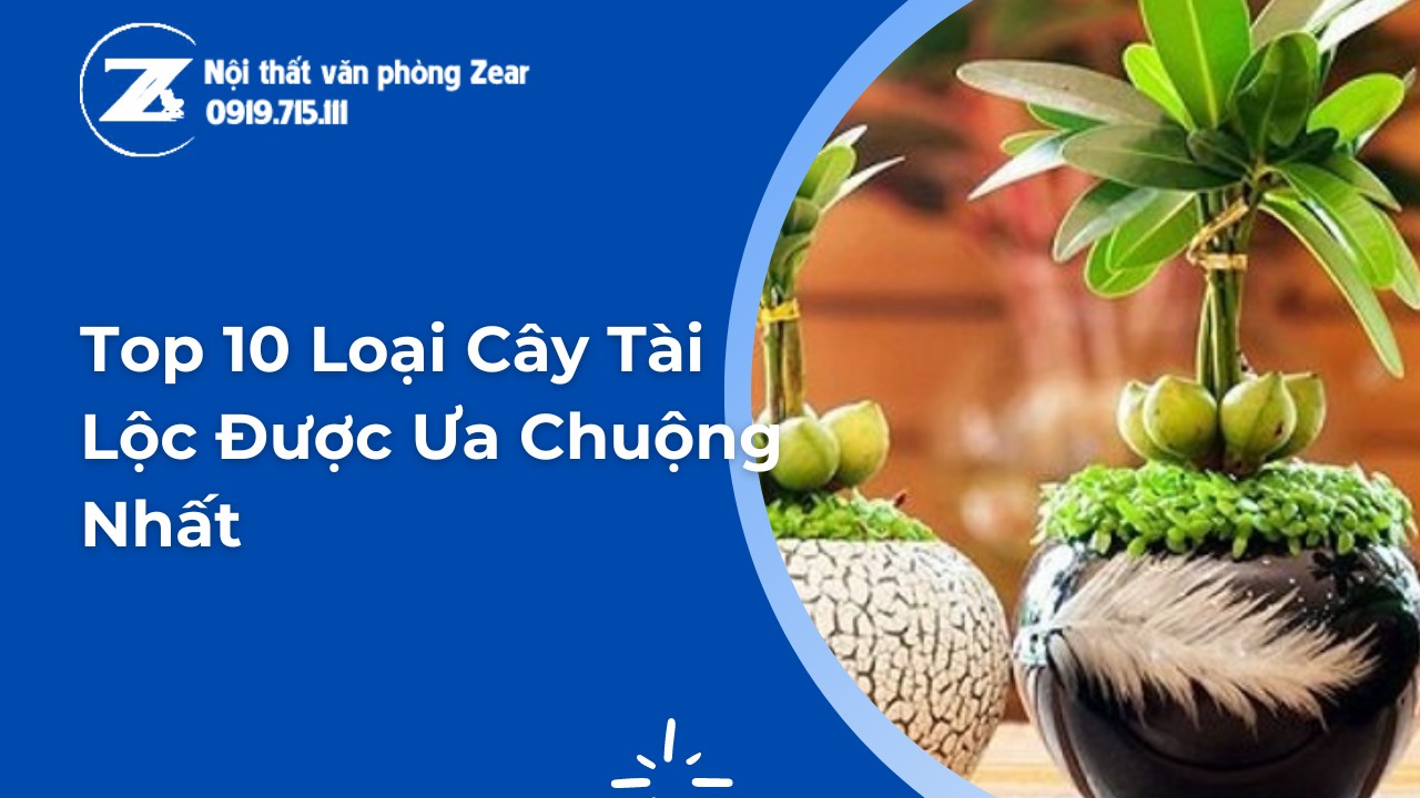 Ra Lộc Hay Gia Lộc? Gallery 2