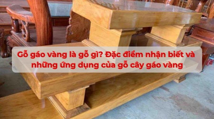 Cây Gáo Vàng Để Làm Gì? Gallery 2