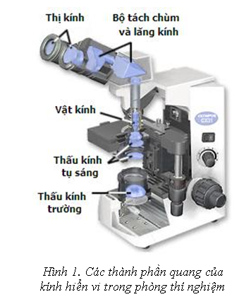 Ứng dụng của thấu kính phân kì Gallery 2