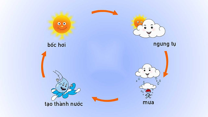 Trời Triển Mưa Hay Chuyển Mưa? Gallery 2