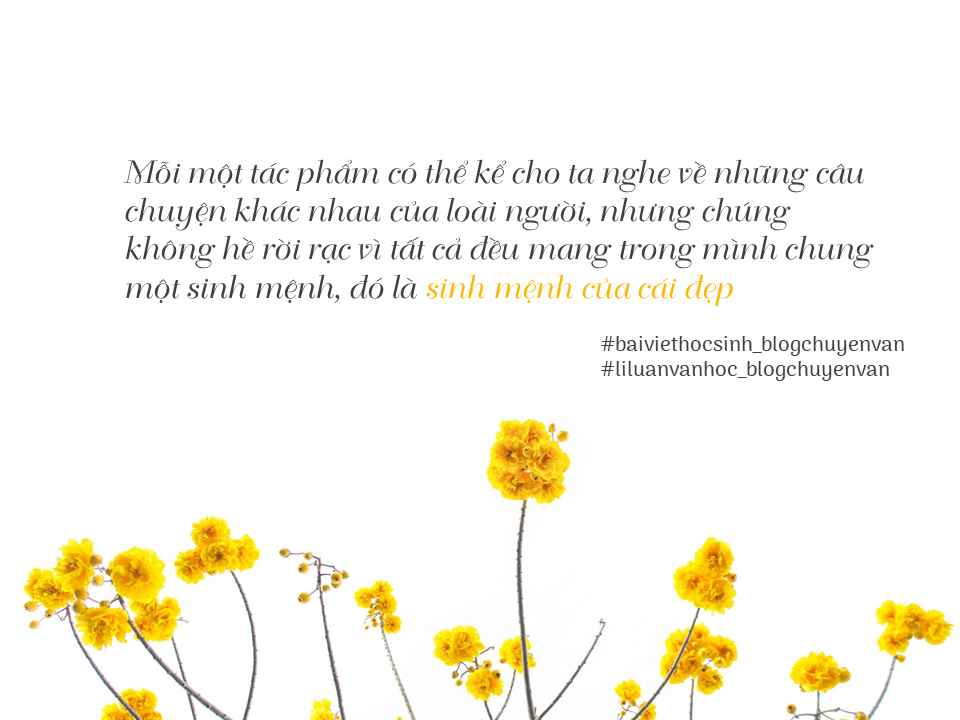 Người Ra Đi Để Sầu Úa Lên Trăng Gallery 1