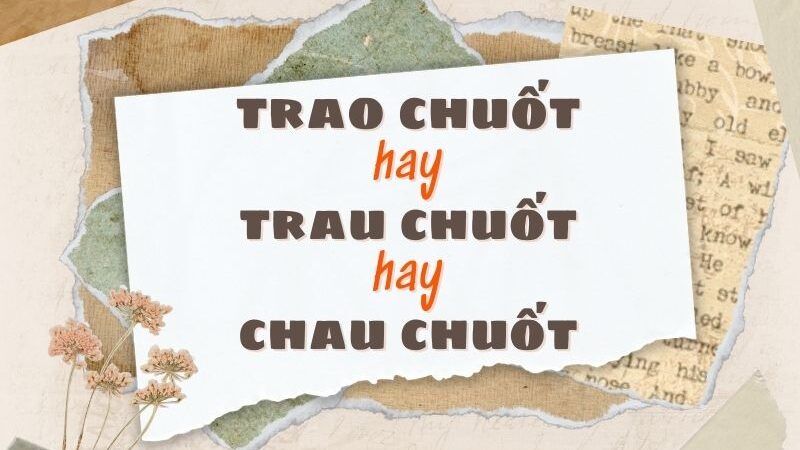 Khó xử hay khó sử? Gallery 2