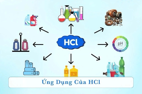 Tác dụng với HCL Gallery 2