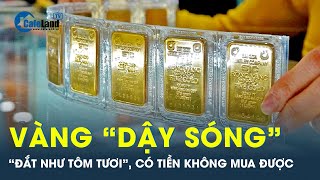 Vang dội là từ chỉ đặc điểm Gallery 2