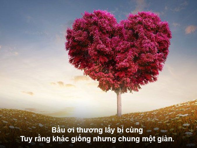 Tục Ngữ Hay Về Bản Chất Con Người Gallery 2