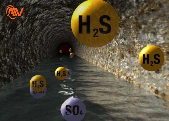 H2S + O2 thiếu: Sản phẩm và phản ứng Gallery 2