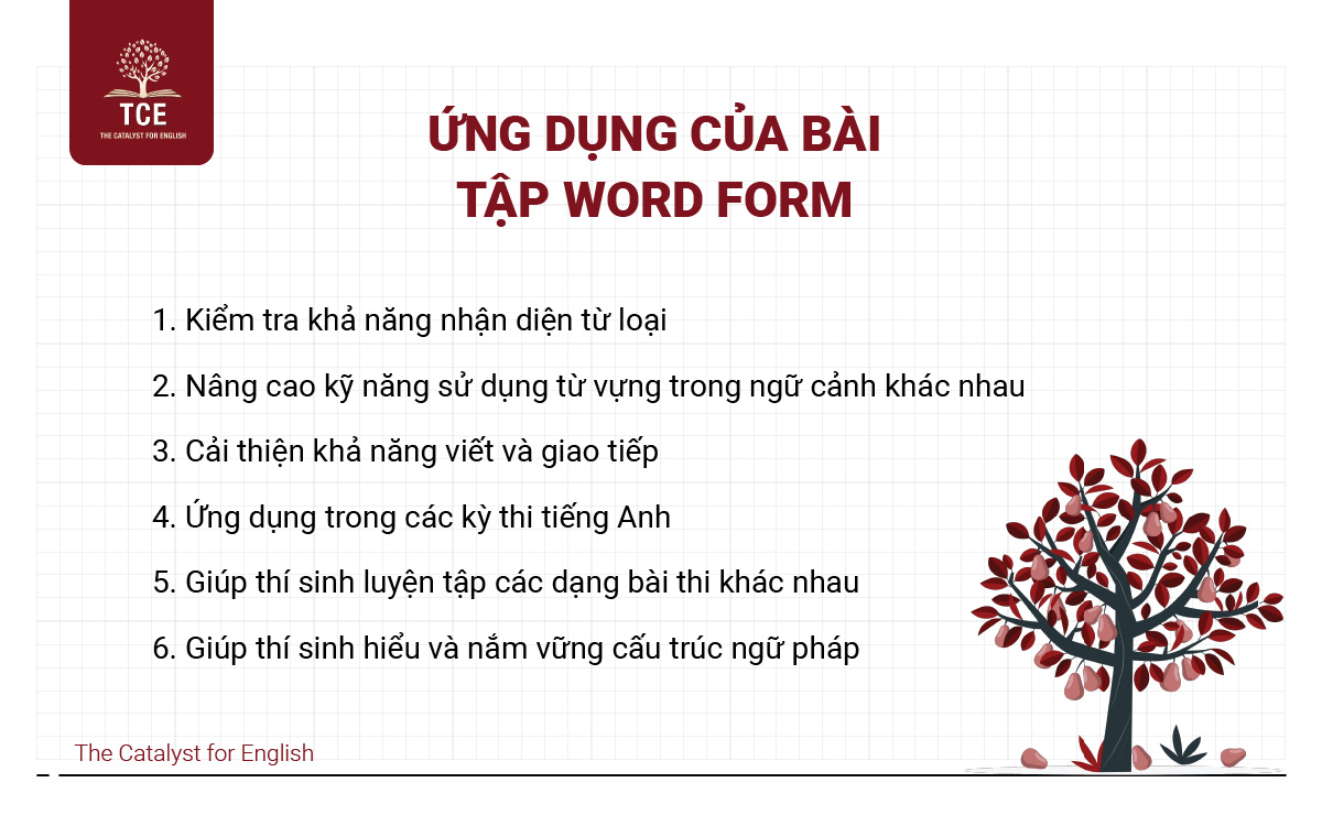Word Form Thông Dụng trong Tiếng Anh Gallery 2