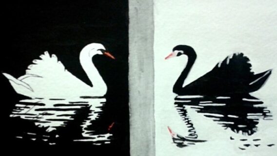 Thuyết Thiên Nga Đen: Hiểu Về Những Sự Kiện Có Tác Động Khổng Lồ Và Khó Dự Đoán Gallery 2