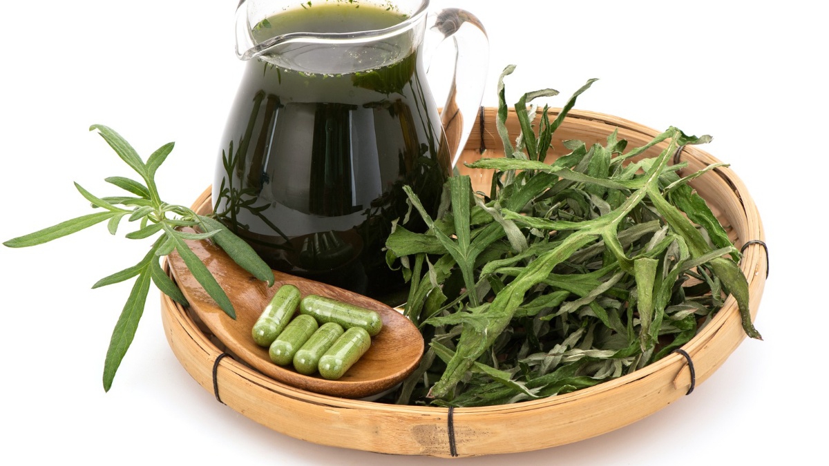 Uống nước ngải cứu hàng ngày có tốt không?