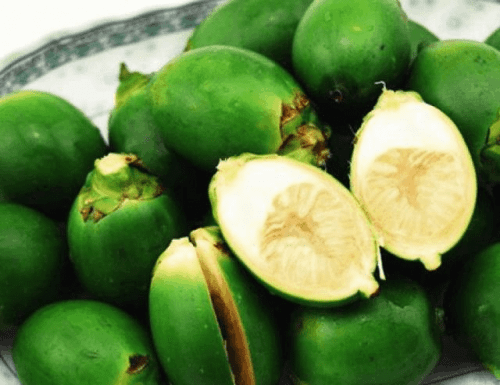 Uống nước quả cau có tác dụng gì?