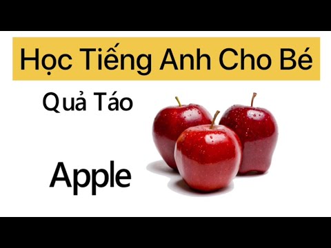 What is the English word for Apple? Gallery 2