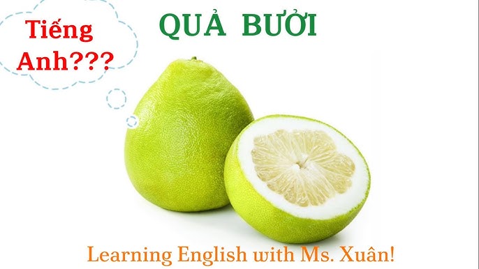 Vietnamese Pomelo in English Gallery 2