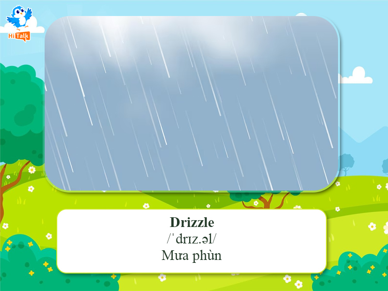 What is Drizzle in English? Gallery 2
