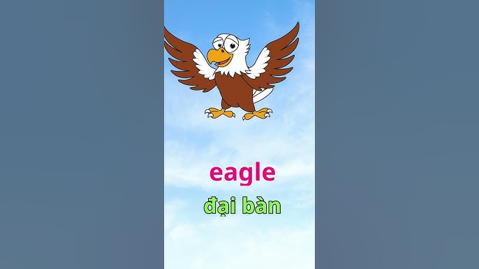 What is an Eagle in English? Gallery 2