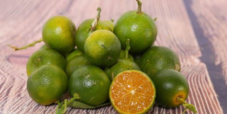 What is a Kumquat in English? Gallery 2