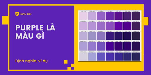 What is Purple in English? Gallery 2