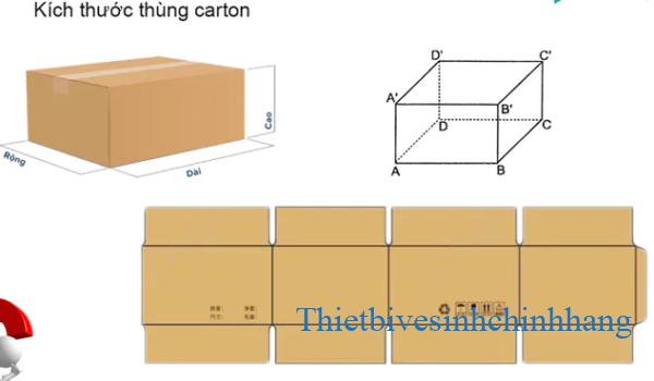 Tall, Wide, and High: Understanding Dimensions in English Gallery 2