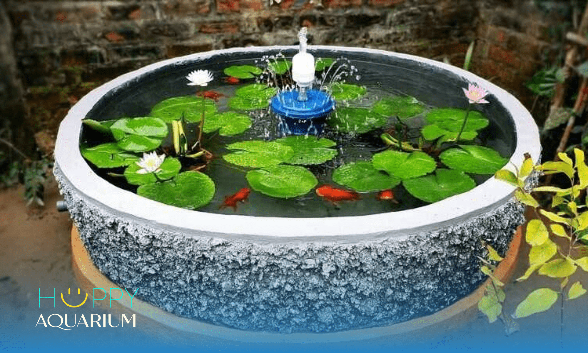 Bể Cá Xi Măng: Giải Pháp Độc Đáo và Tiết Kiệm Chi Phí Gallery 1