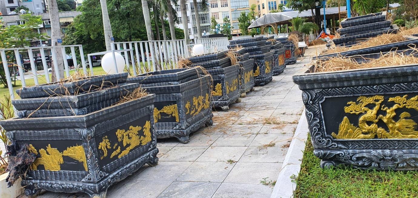 Chậu Đúc Xi Măng: Giải Pháp Trang Trí Đẹp Mắt và Bền Bỉ Gallery 1