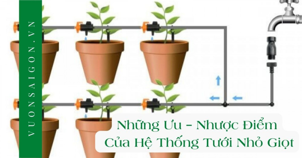 Van Tưới Nhỏ Giọt: Hệ Thống Tưới Tiết Kiệm Nước Hiệu Quả Gallery 1