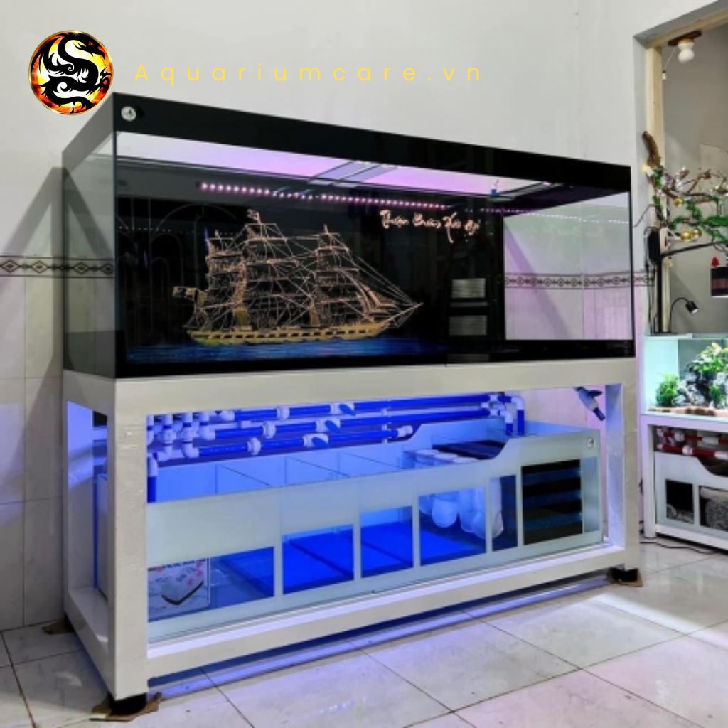 Hồ Công Nghệ 4 Lớp Đáy Là Gì? Gallery 2