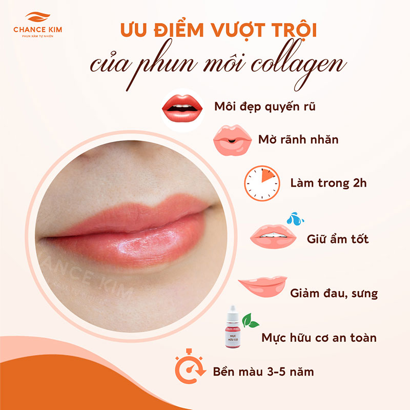 Màu Môi Phun Tự Nhiên Gallery 2