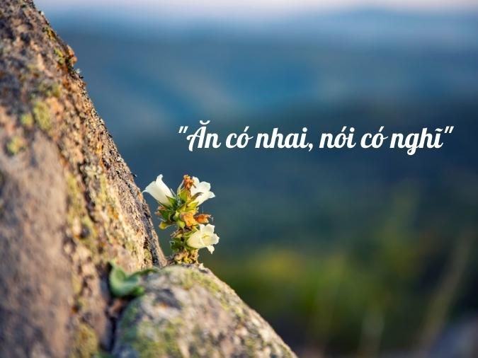 Rút Dây Động Là Gì? Hướng Dẫn Chi Tiết Gallery 1