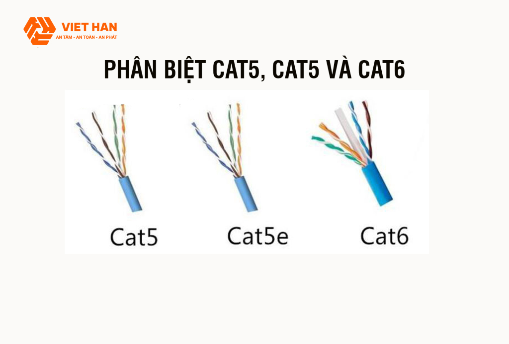 Mạng Cổ Chu Cáp Là Gì? Gallery 1