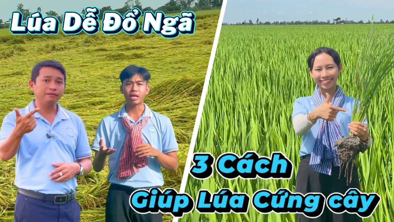 Trống Canh Dồn Là Gì? Gallery 1