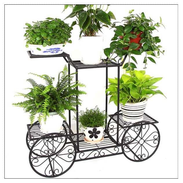 Đôn Chậu Cây Cảnh Bằng Sắt: Hướng Dẫn Chọn Mua Và Sử Dụng Gallery 1