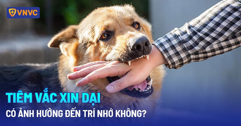 Vắc xin dại có ảnh hưởng gì không?
