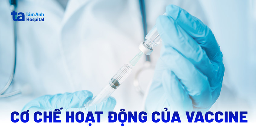 Tiêm vắc xin là gì? Gallery 1