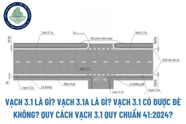 Vạch 3.1 Là Gì?